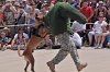 K-9 DSC_7854.jpg